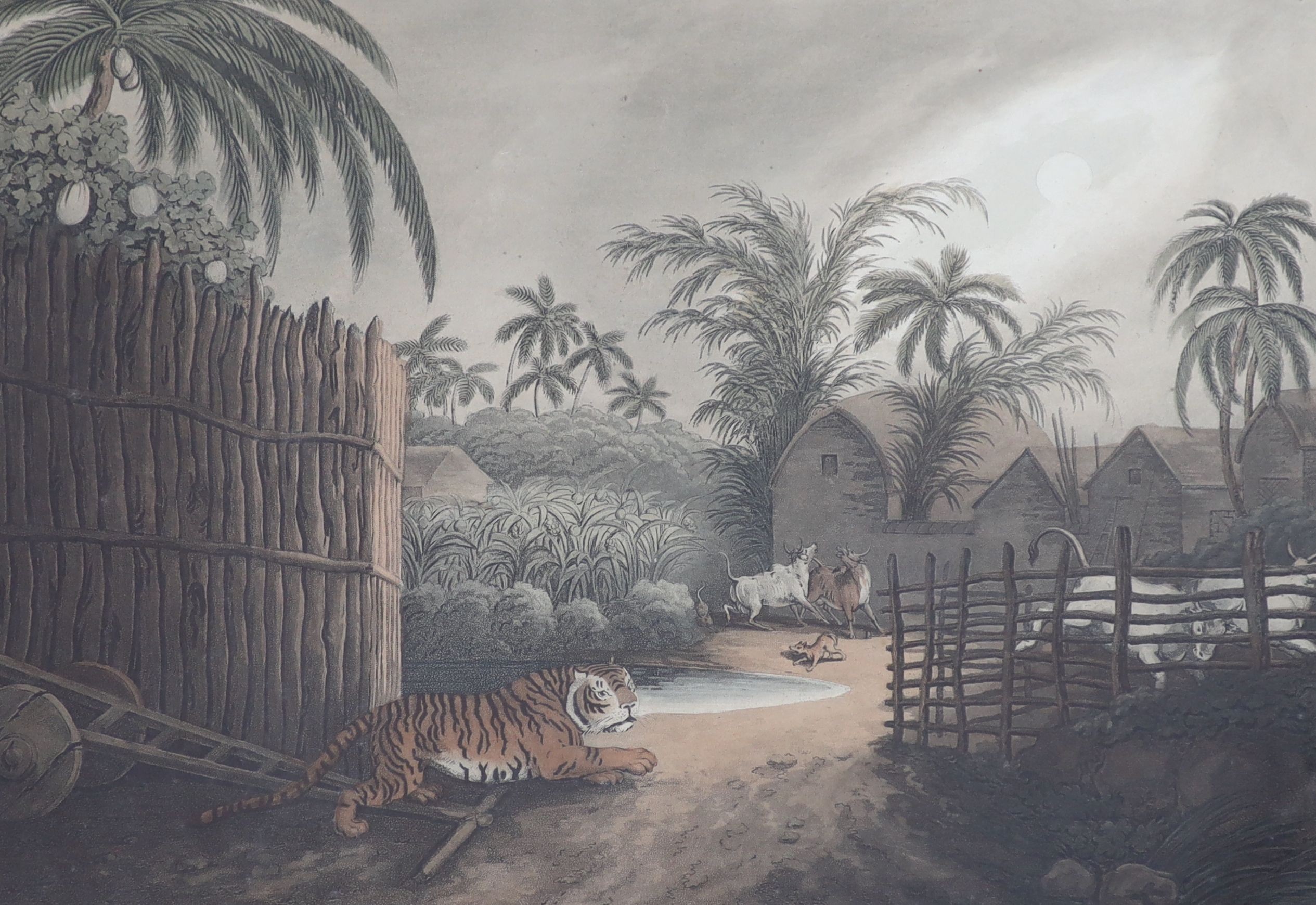 After Samuel Howett and Captain Thomas Williamson, Driving a tiger out of a jungle, Decoy elephants catching a male, A tiger prowling through a village and Shooting at the edge of a jungle, hand-coloured aquatints (4), 3